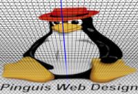 Pinguis Web Design image 7